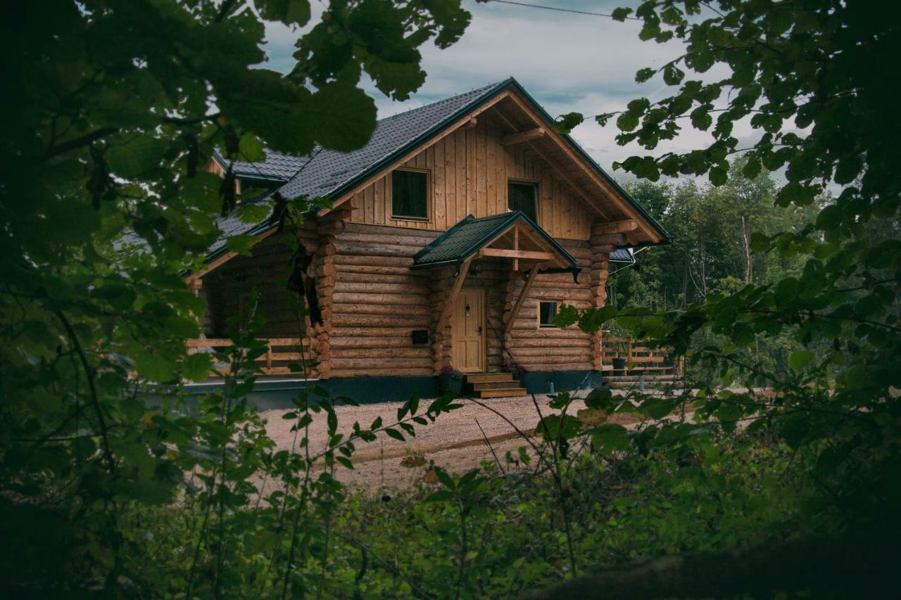 Woods Lodge Plitvice Lakes Дрежник Град Экстерьер фото